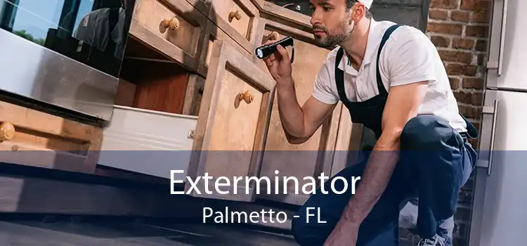 Exterminator Palmetto - FL