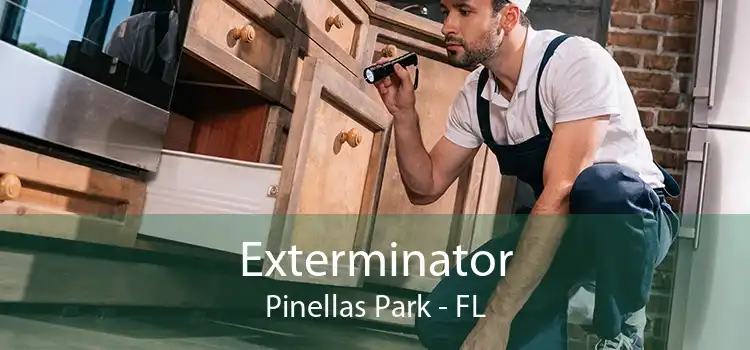 Exterminator Pinellas Park - FL