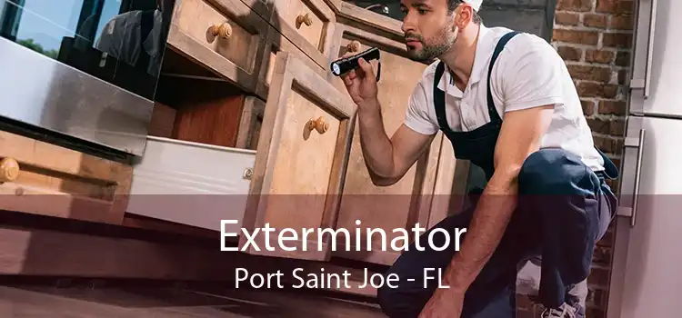 Exterminator Port Saint Joe - FL
