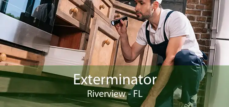 Exterminator Riverview - FL