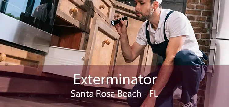 Exterminator Santa Rosa Beach - FL