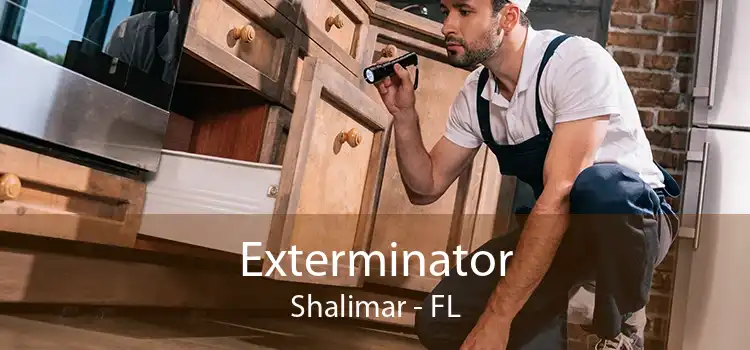 Exterminator Shalimar - FL