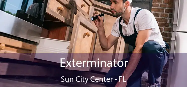  Exterminator Sun City Center - FL