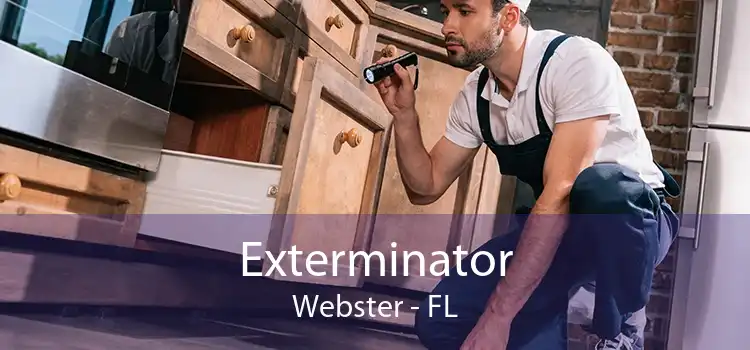 Exterminator Webster - FL