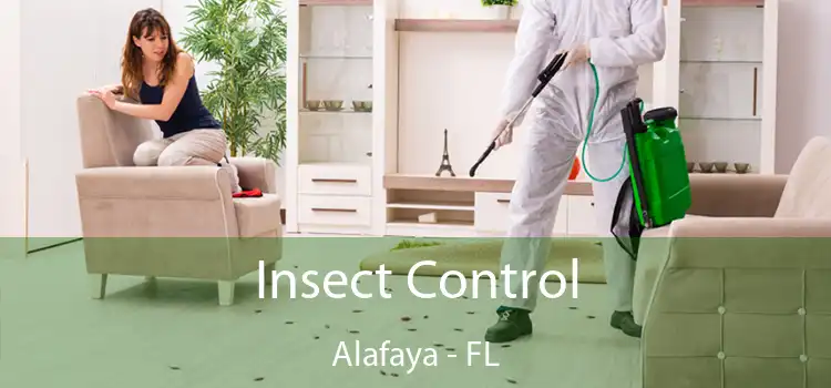 Insect Control Alafaya - FL