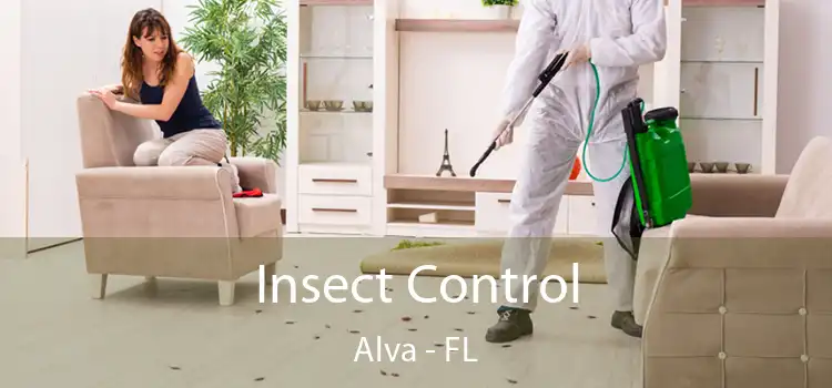  Insect Control Alva - FL
