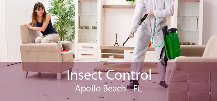 Insect Control Apollo Beach - FL