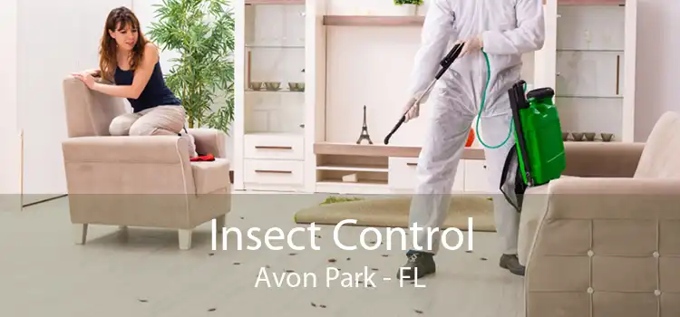 Insect Control Avon Park - FL