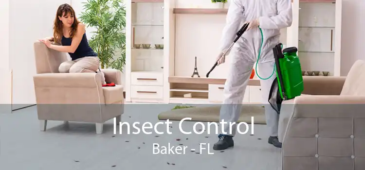 Insect Control Baker - FL