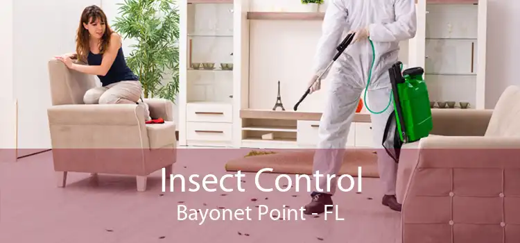 Insect Control Bayonet Point - FL