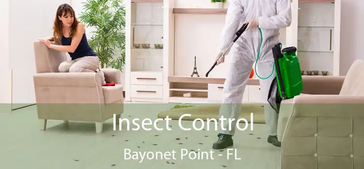 Insect Control Bayonet Point - FL