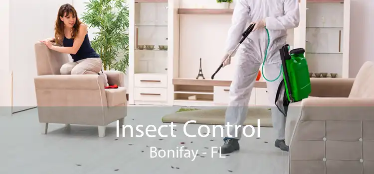 Insect Control Bonifay - FL