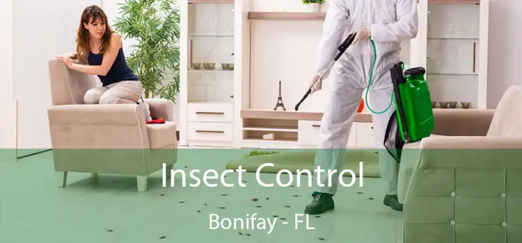 Insect Control Bonifay - FL