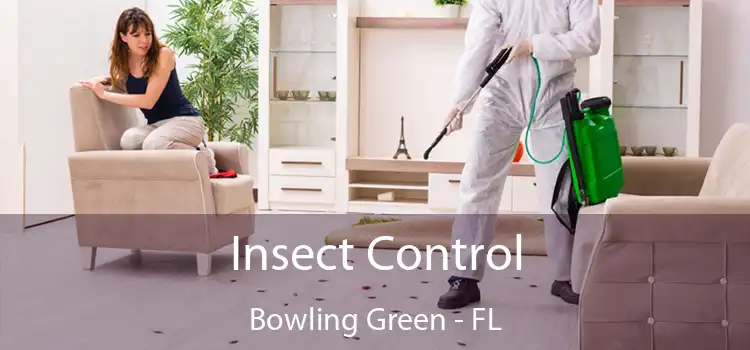 Insect Control Bowling Green - FL