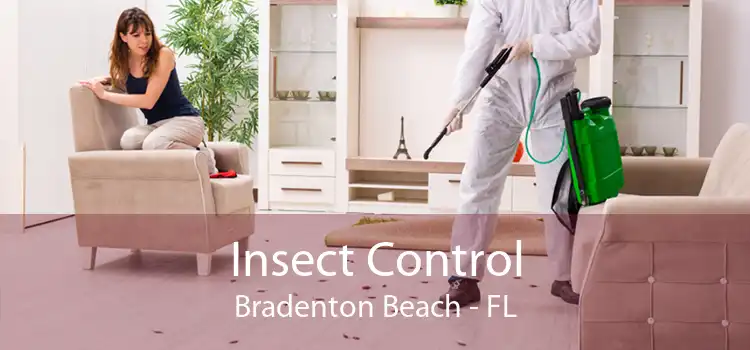 Insect Control Bradenton Beach - FL