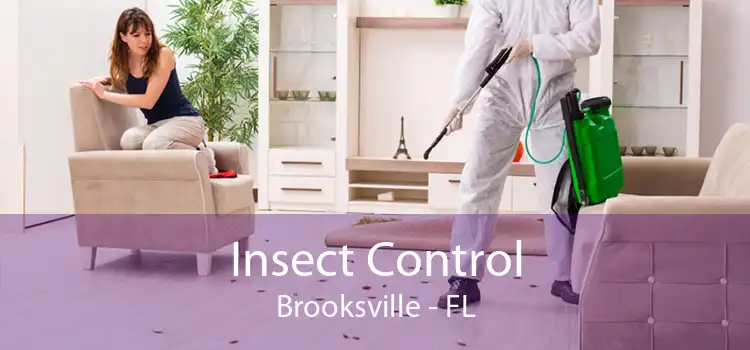 Insect Control Brooksville - FL