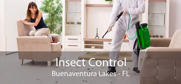 Insect Control Buenaventura Lakes - FL