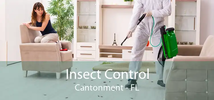Insect Control Cantonment - FL
