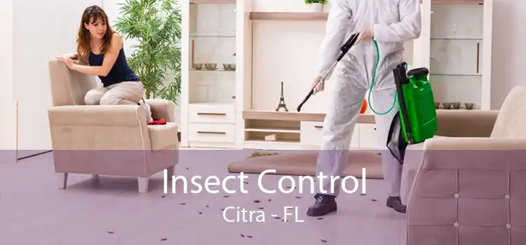Insect Control Citra - FL