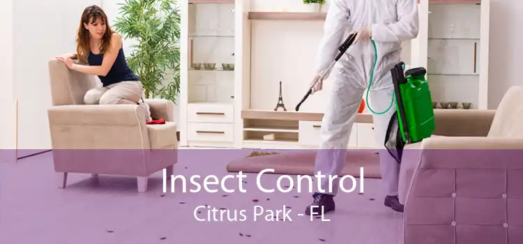 Insect Control Citrus Park - FL