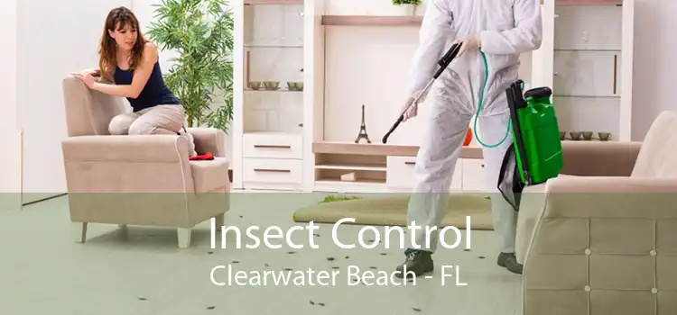 Insect Control Clearwater Beach - FL