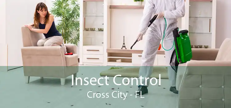 Insect Control Cross City - FL