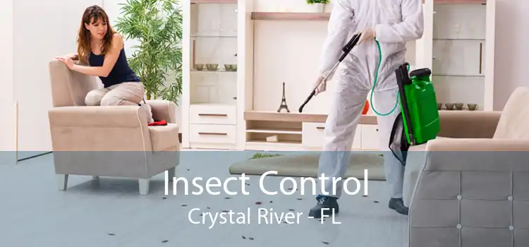 Insect Control Crystal River - FL