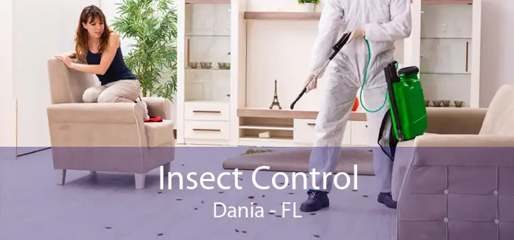 Insect Control Dania - FL