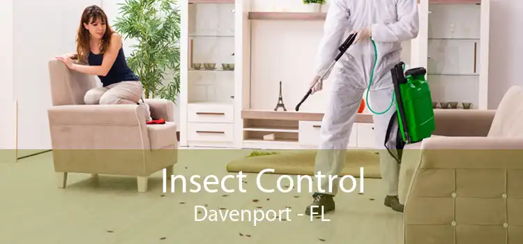 Insect Control Davenport - FL
