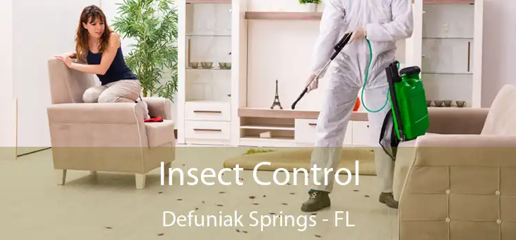 Insect Control Defuniak Springs - FL