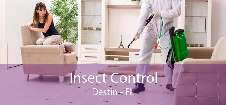 Insect Control Destin - FL