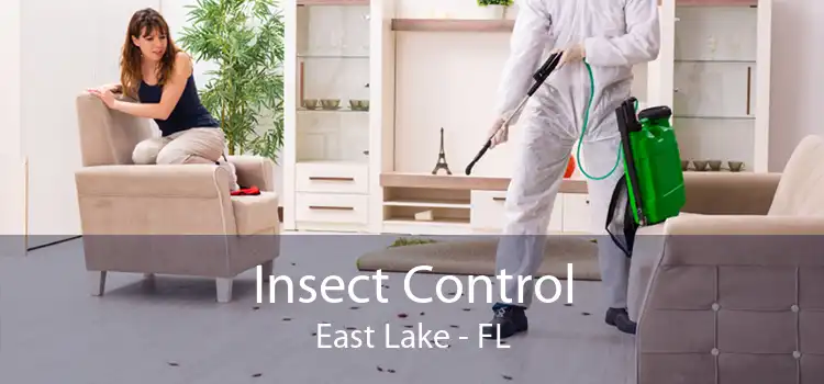 Insect Control East Lake - FL