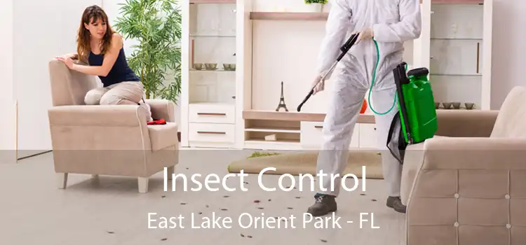 Insect Control East Lake Orient Park - FL