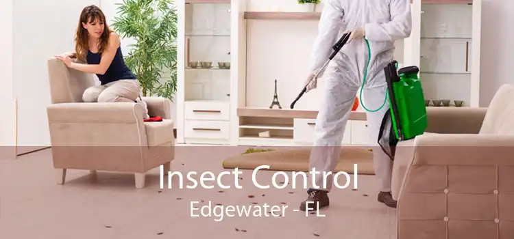 Insect Control Edgewater - FL