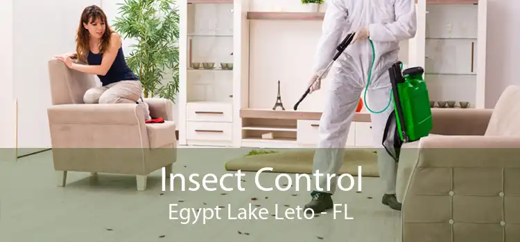 Insect Control Egypt Lake Leto - FL