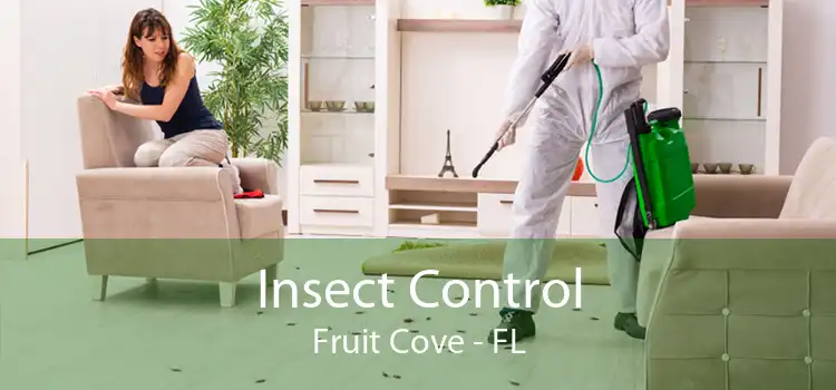Insect Control Fruit Cove - FL