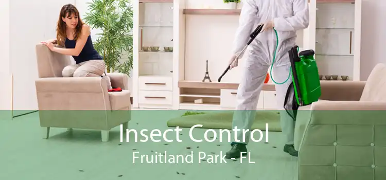 Insect Control Fruitland Park - FL