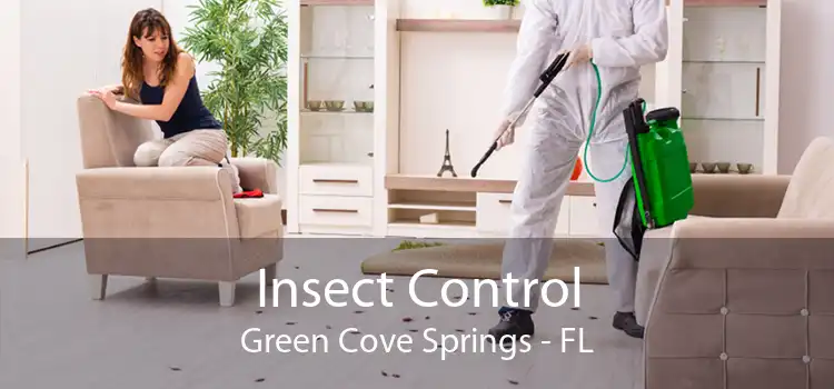Insect Control Green Cove Springs - FL