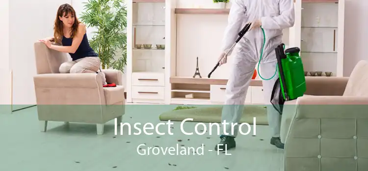 Insect Control Groveland - FL