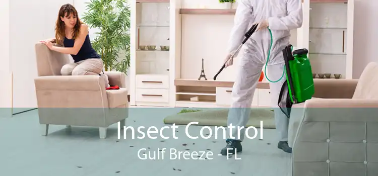 Insect Control Gulf Breeze - FL