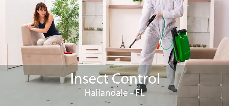 Insect Control Hallandale - FL