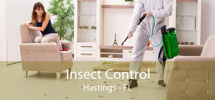 Insect Control Hastings - FL