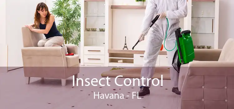Insect Control Havana - FL