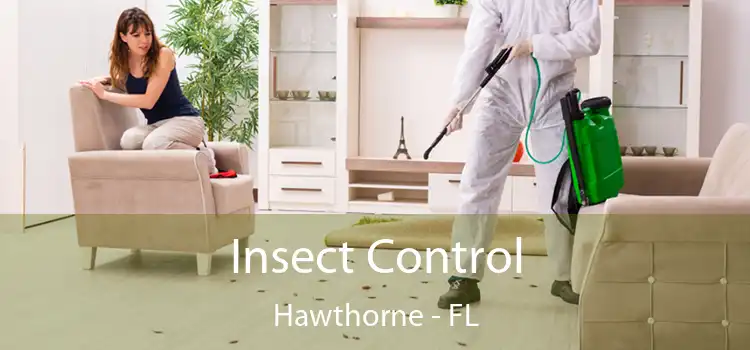 Insect Control Hawthorne - FL