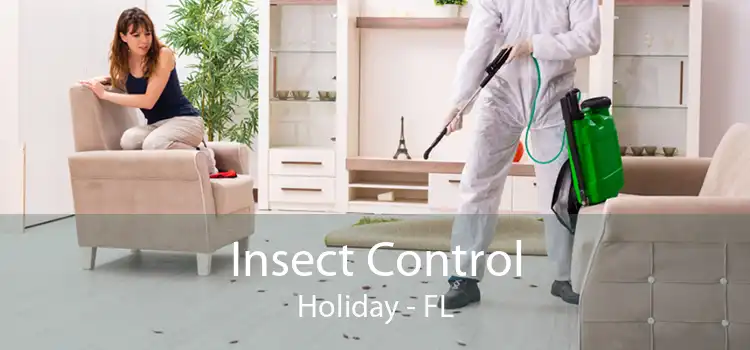 Insect Control Holiday - FL