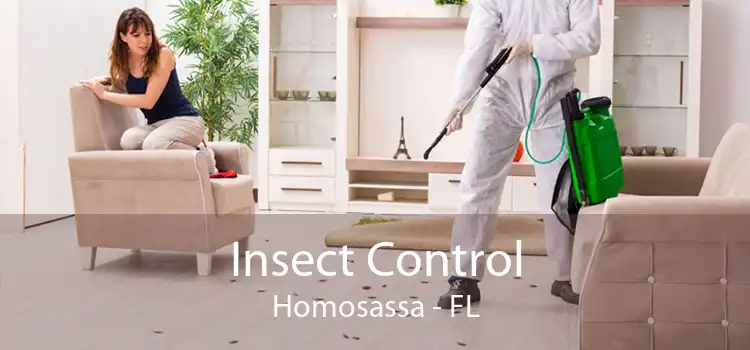 Insect Control Homosassa - FL