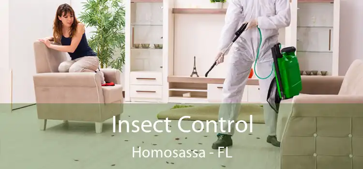 Insect Control Homosassa - FL