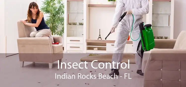 Insect Control Indian Rocks Beach - FL