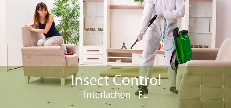 Insect Control Interlachen - FL