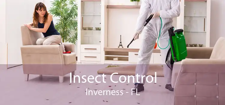 Insect Control Inverness - FL